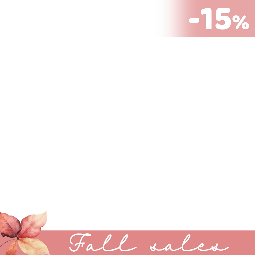 winter sale frame