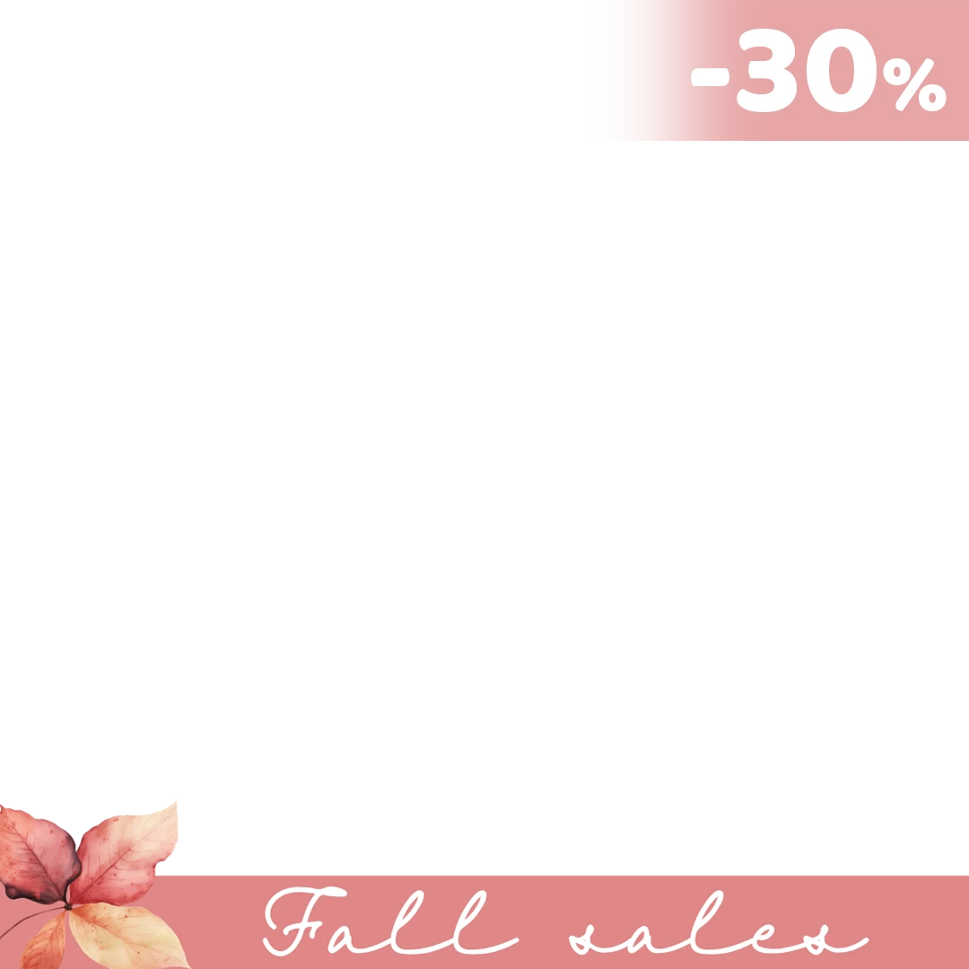winter sale frame