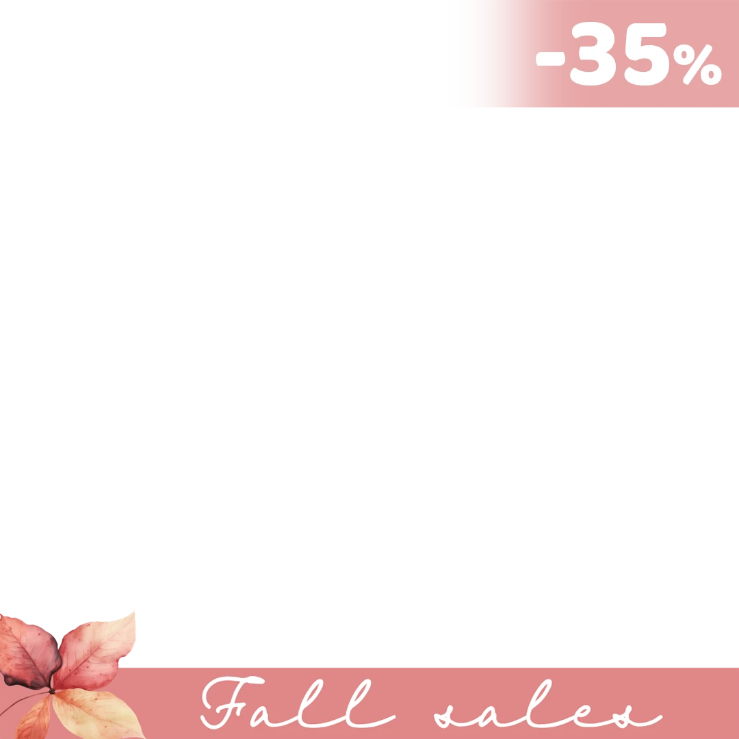 winter sale frame